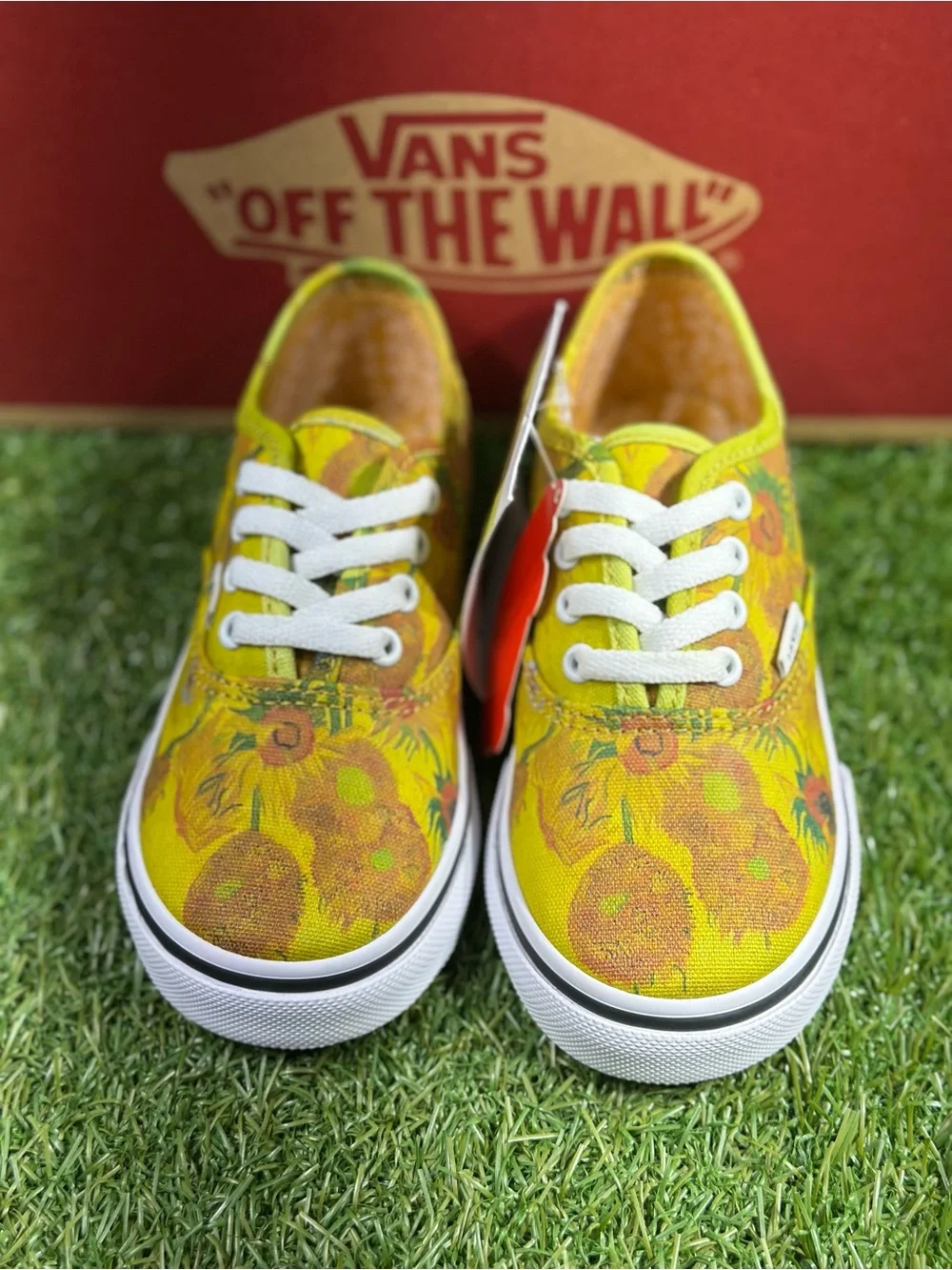 Vans rare vincent